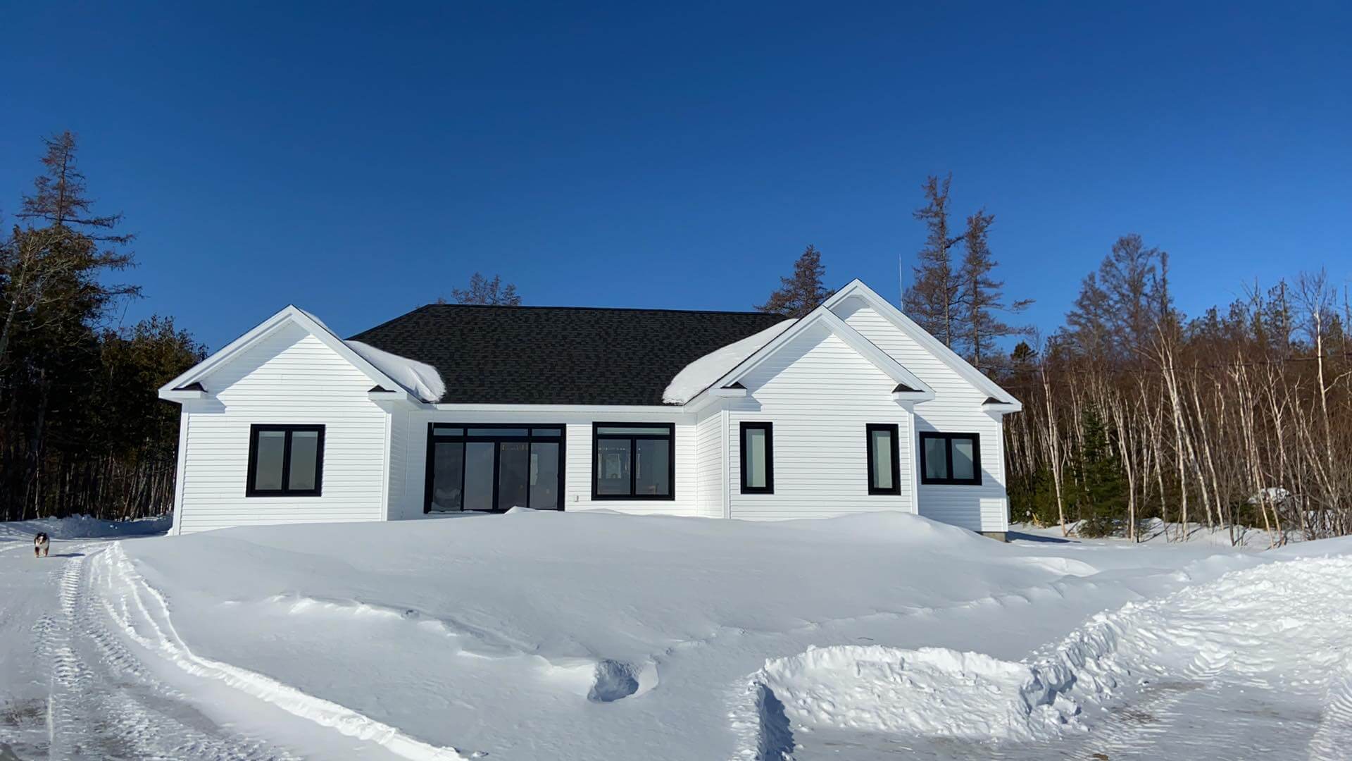 General Contractor